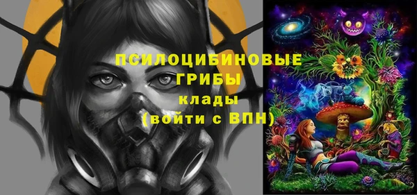твердый Щучье