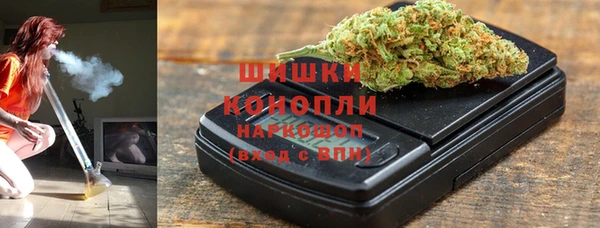 шишки Щёлкино