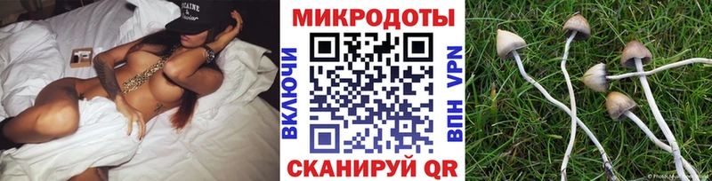 Купить закладки  Онега  Псилоцибиновые грибы мухоморы 